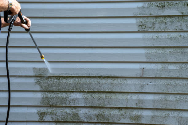 Affordable siding repair and maintenance services in Bevil Oaks, TX