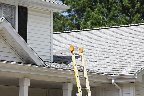 Best Siding Painting and Refinishing  in Bevil Oaks, TX